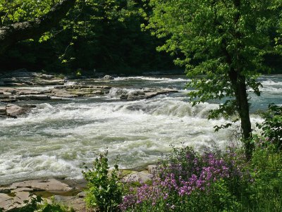 100 Youghiogheny River.jpg