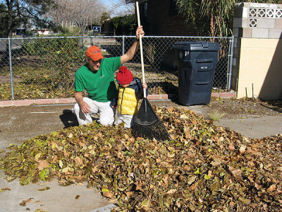 Leaf cleanup