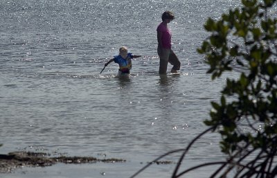 Exploring the shallows