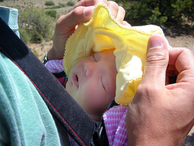 g1/07/406607/3/112964850.G3husYmD.jpg