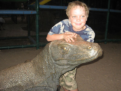 Ray & reptile