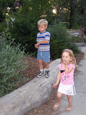 Hazel and Simon: foraging like giraffes