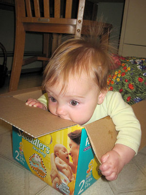Mmm, cardboard tastes so good...
