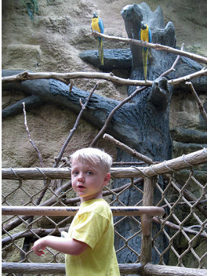 With the parrots at the Madison Zoo