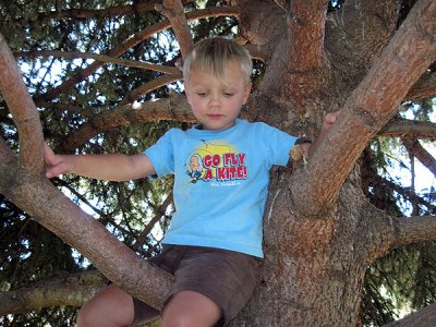 Simon the tree climber