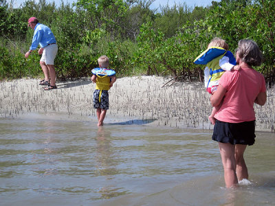 Hunting for fiddler crabs