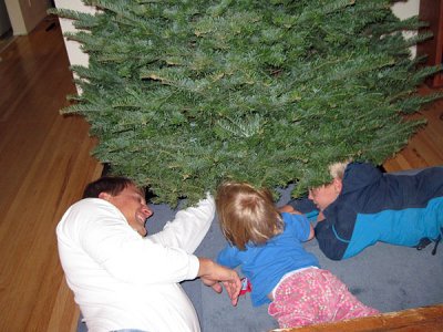 Unexpected Christmas tree helpers