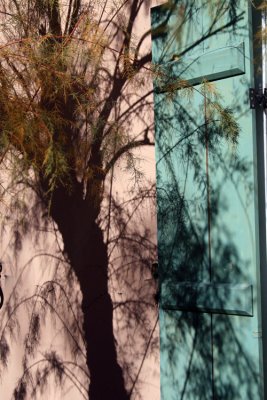 Interesting Shadows
