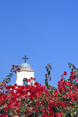 Bougainvillea with bell tower in background