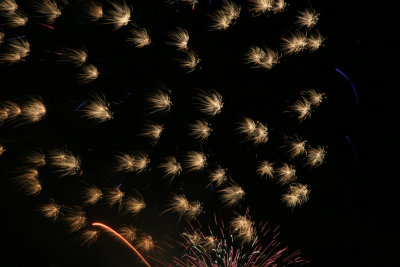 fireworks8-copy.jpg