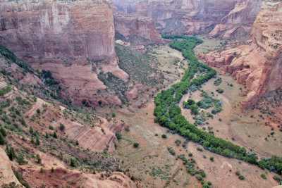 View into the canyon from the Spider Rock overlook