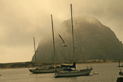 Late afternoon light on Morro Bay