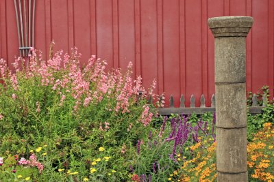 Backyard garden in Cambria