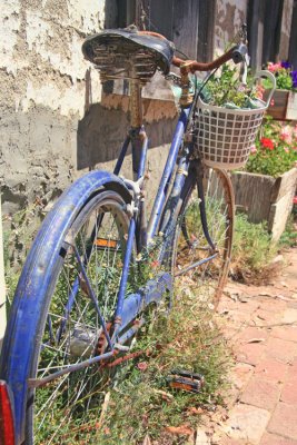 Blue Bike