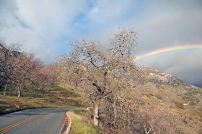 Rainbow and General's Highway