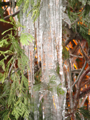 Icicles at Wawona Tunnel