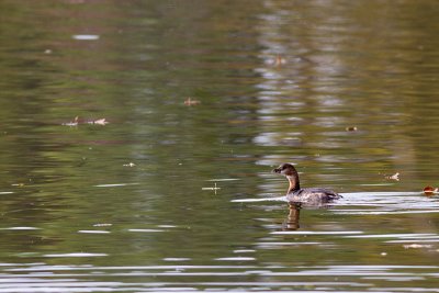 IMG_1858.jpg