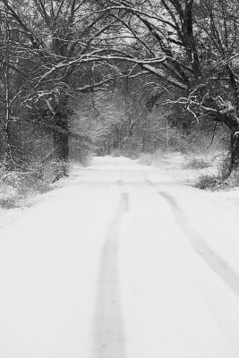 IMG_7651bw.jpg