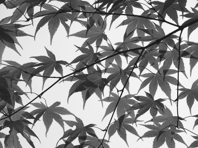 g1/07/527607/3/103624718.sYcsqaGC.jpg