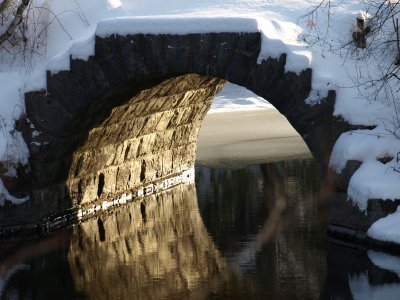 Warm Winter Bridge - huskypup