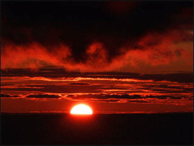 scarlet sunrise - brent