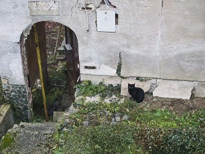 g1/07/527607/3/107105856.JdR1pA5b.jpg