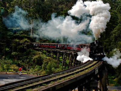 Puffing Billy by Dennis