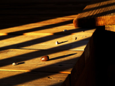 A lone nut amidst light and shadow - SuperVF1