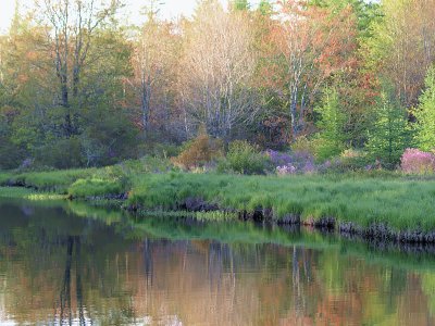 colors of spring on the Annis River - Brenda