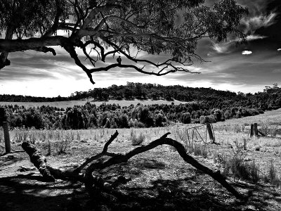 A black and white view by Dennis