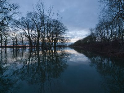 Reflections - Bruce