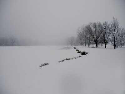 Frozen pond - Miro