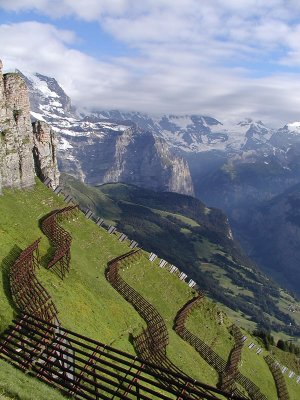 5th - Snow fence above Wengen