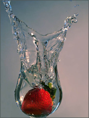 1st - fresh fruit, fresh water - brent