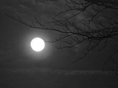 A moonlit evening - Geophoto