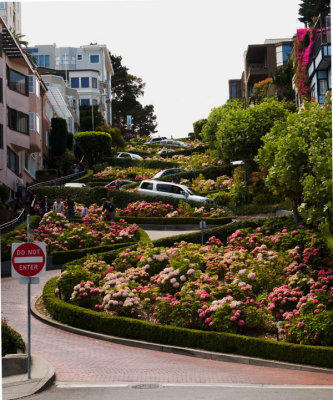 The crookedest street in the world !