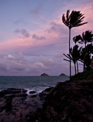 mokes at sunset      Katherine