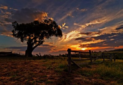 The tree, the fence & that sky by Dennis