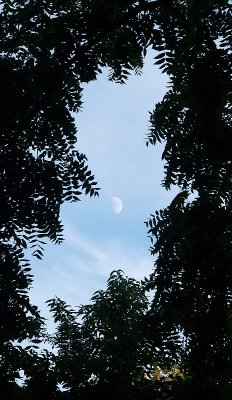 Half moon, framed -ArtP