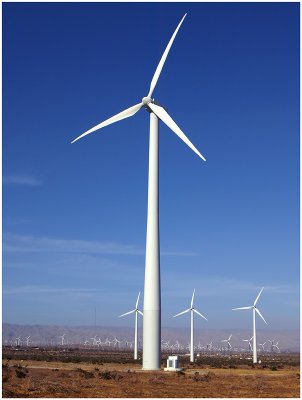 Wind Turbine - Bob
