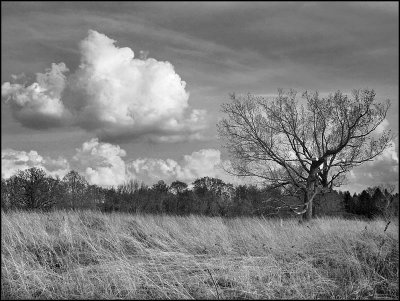 spring clouds - brent
