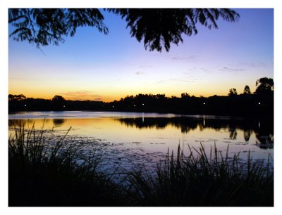 Evening Lake - Jarred
