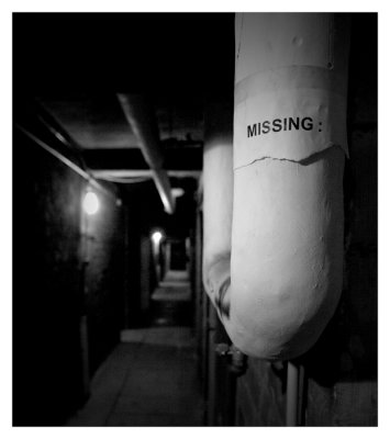 2nd - The missing notice - Marc (Cynops)