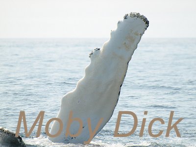 Moby Dick - Brenda
