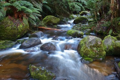 Toorongo River cascades by Dennis