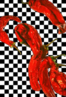Checker Peppers by Paul Wear