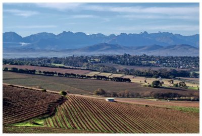 Cape Winter Morning - CB