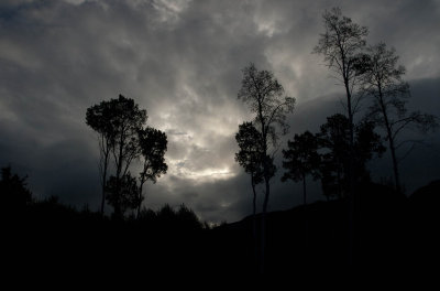 Dark and Stormy by Uncle LJ