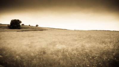 Hartington Moor, Alistair