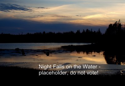 Nightfall placeholder Do Not Vote - Brenda